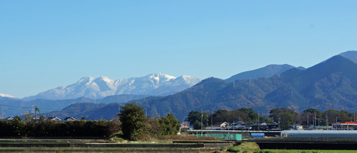 画像7
