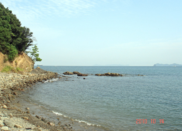 画像1