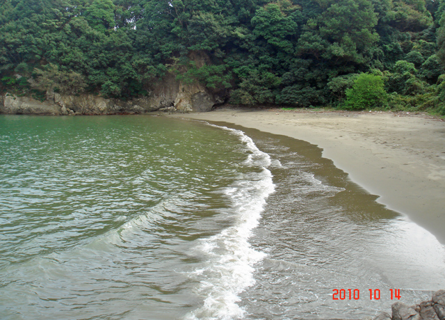 画像4